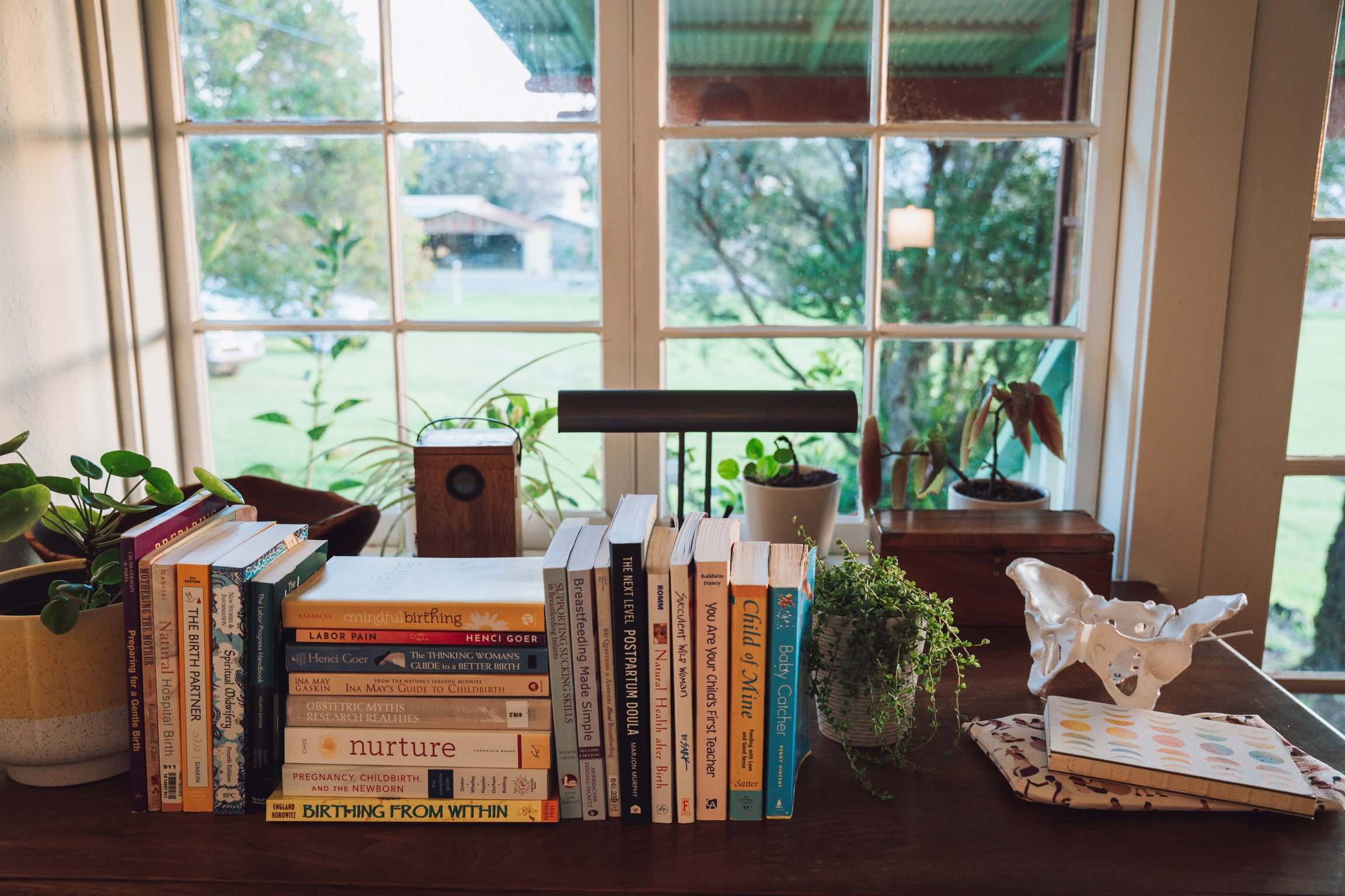 Waimea Doula Lending Library